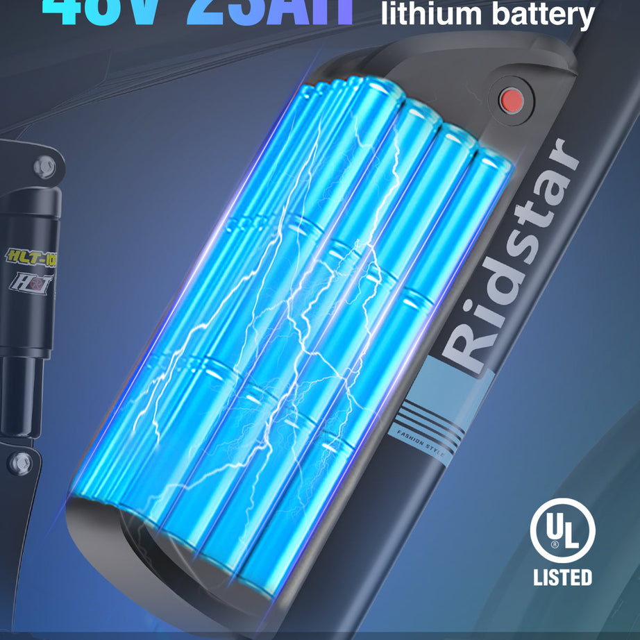 Ridstarยฎ E Bike E26Pro Folding Fat Tire Mountain Electric Bike