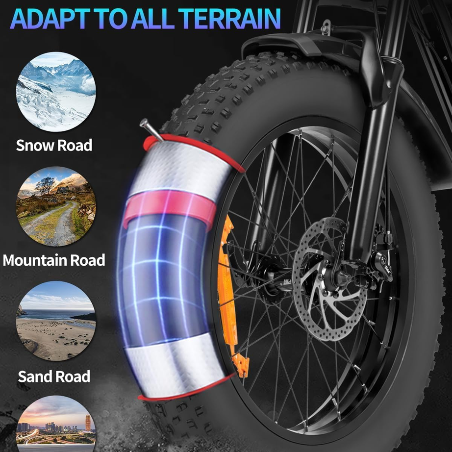 Ridstar® Q20 1000W Fat Tire Ebike