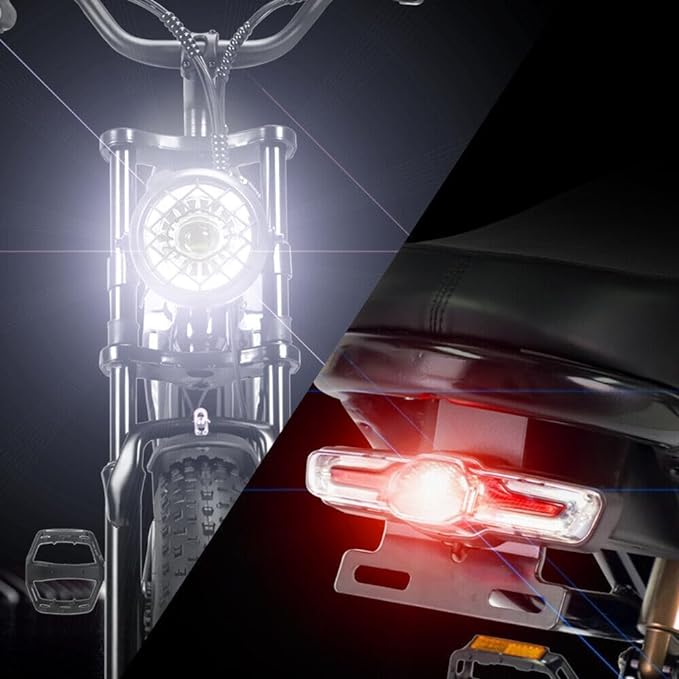 Ridstar Upgraded Q20 1500W Fat Tire Electric Bicycle-3