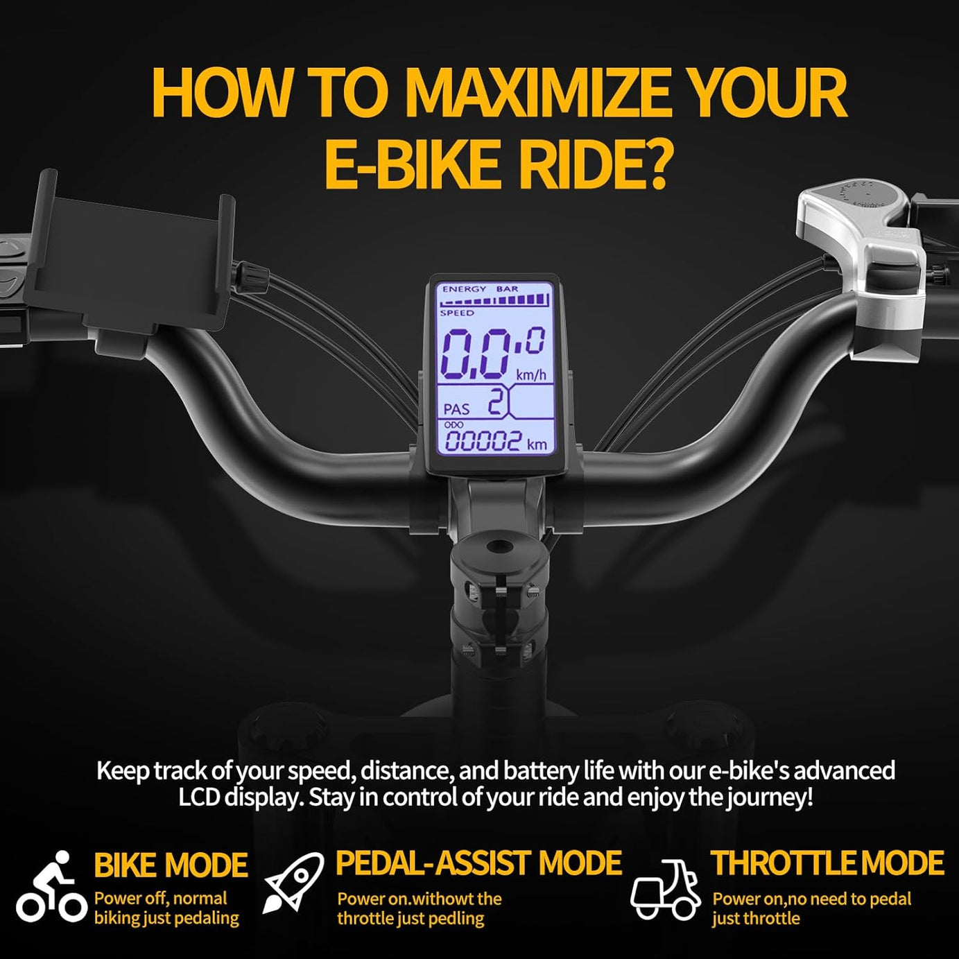 Ridstar Q20 1000W Fat Tire Ebike-3