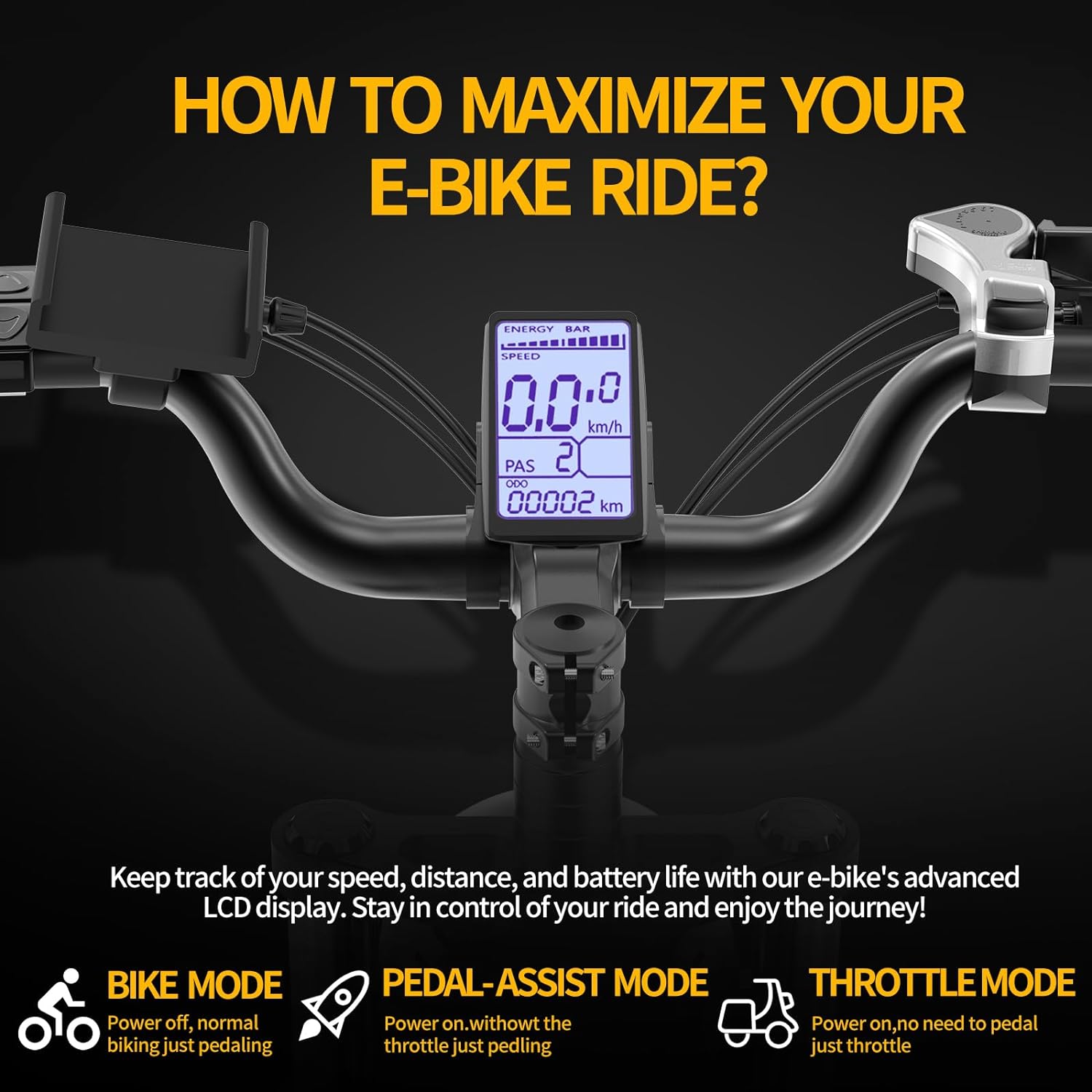 Ridstar Q20 1000W Fat Tire Ebike-3