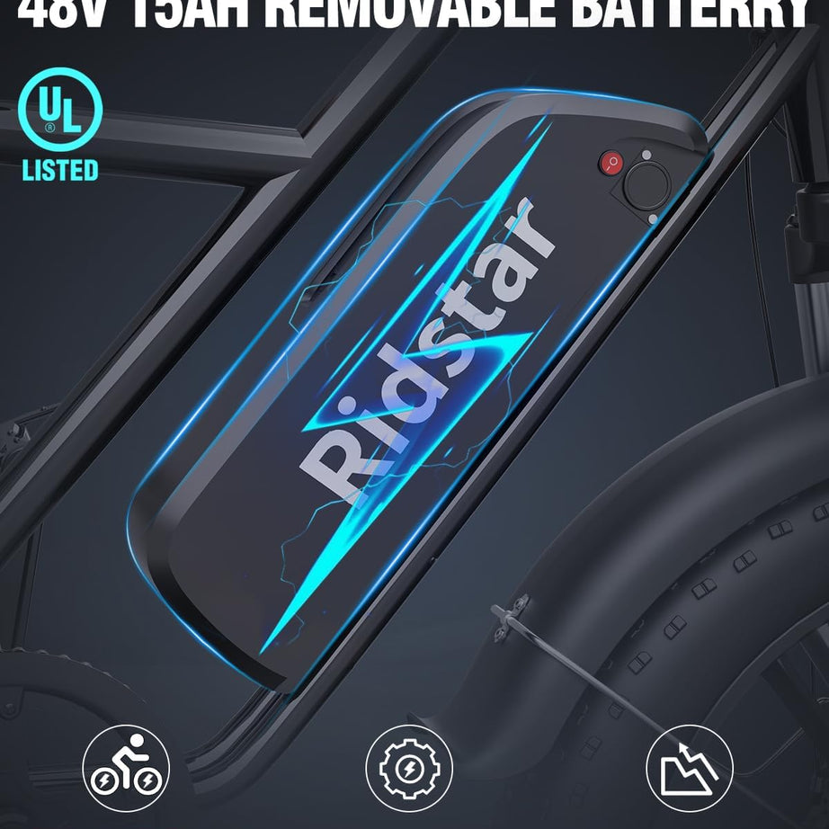 Ridstar FM001 2-Seater Fat Tire Electric Bike-2