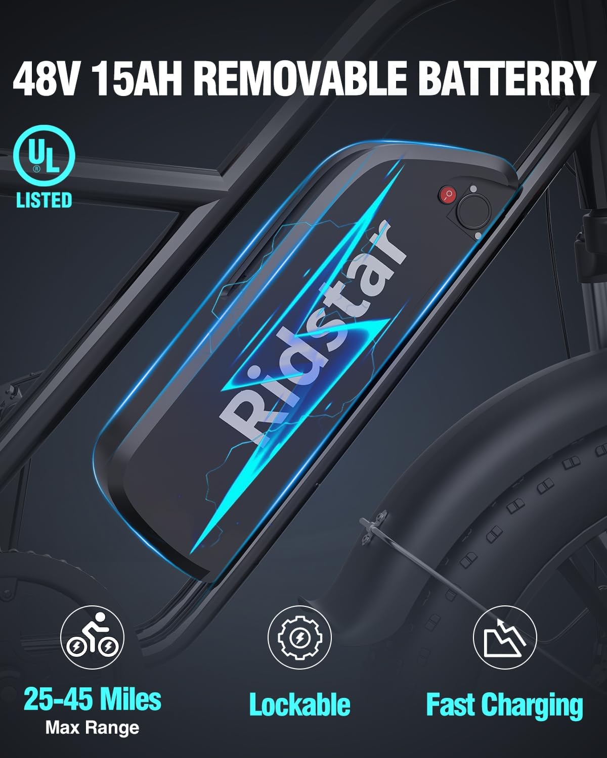 Ridstar FM001 2-Seater Fat Tire Electric Bike-2