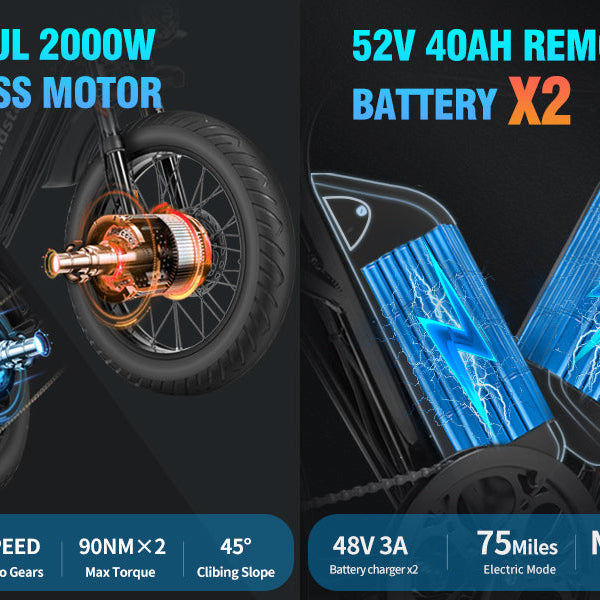Ridstar® Upgraded Q20Pro 2000W Fat Tire Electric Bicycle