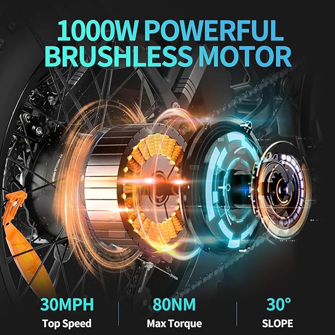 Ridstar® Q20 1000W Fat Tire Ebike