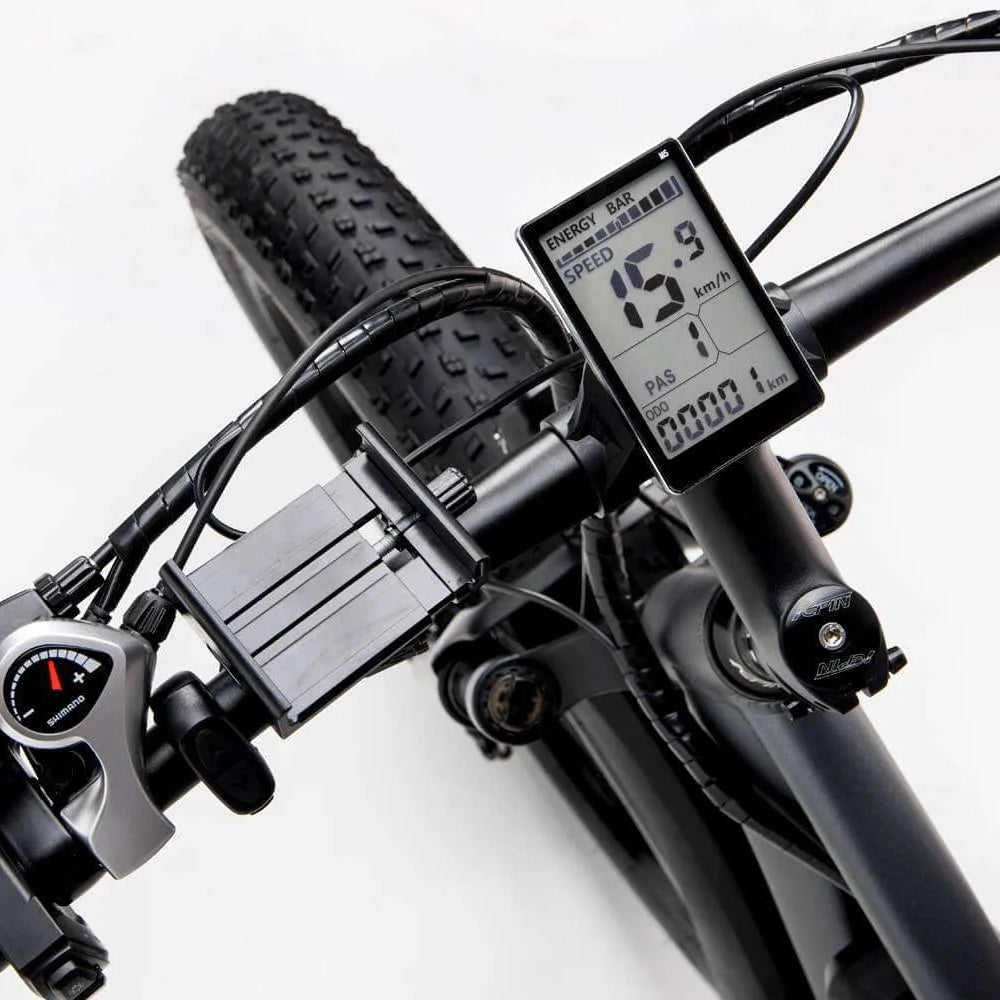 Ridstar® E Bike E26 1000W Motor 48V 15.6AH Battery