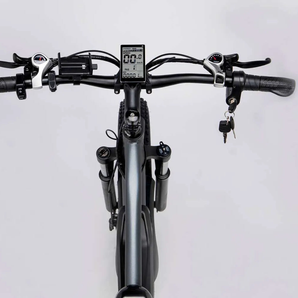 Ridstar® E Bike E26 1000W Motor 48V 15.6AH Battery