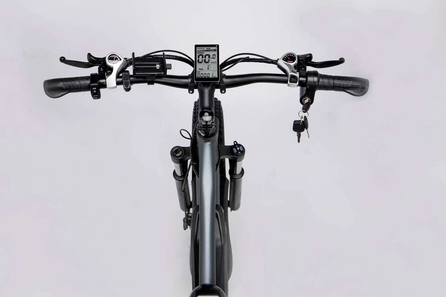 Ridstar® E Bike E26 1000W Motor 48V 15.6AH Battery