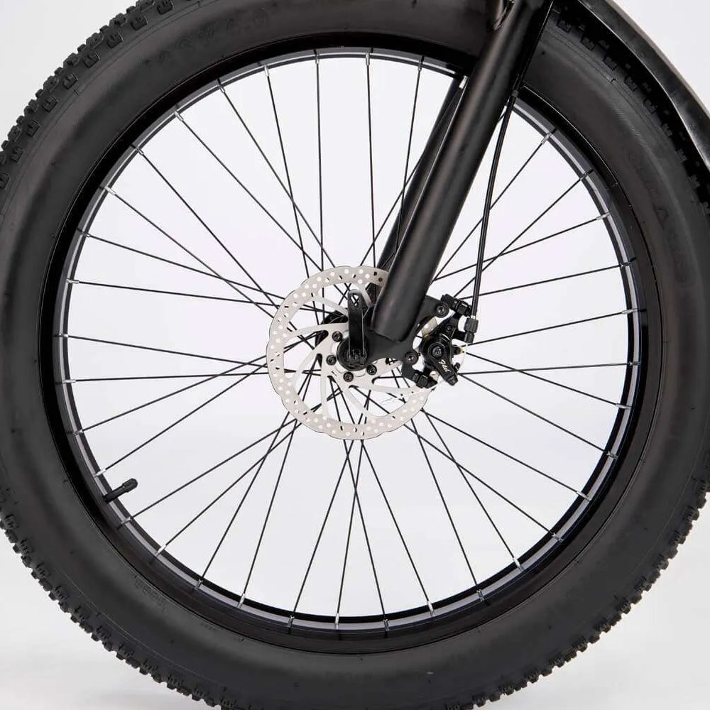 Ridstar® E Bike E26 1000W Motor 48V 15.6AH Battery